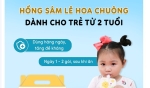 Hồng sâm LÊ HOA CHUÔNG GIẢM HO CHO BÉ